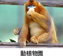 動植物園