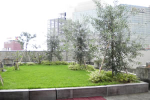 屋上緑化